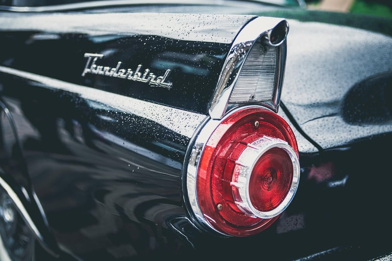 Native American Thunderbird